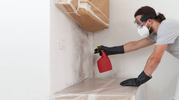 Professional Bathroom Mold Removal technician working in Queen, PA