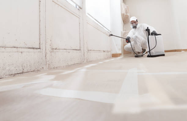 24/7 Emergency Bathroom Mold Removal experts in Queen, PA