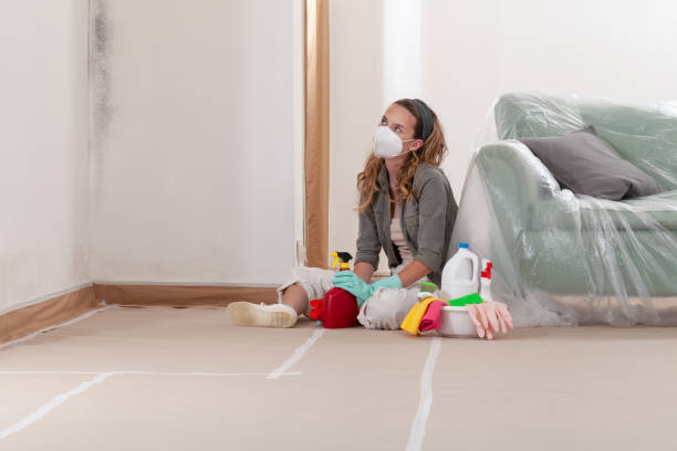 Reliable Bathroom Mold Removal contractor in Queen, PA by WQB Mold Removal
