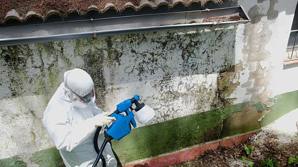 Top rated local Bathroom Mold Removal specialists in Queen, PA